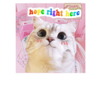Meowless