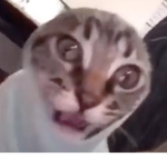 ~*Friendly chat group*~