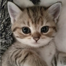 。°˖ ʚ ♡ ɞ 。°