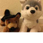 The huskies and German shepherds