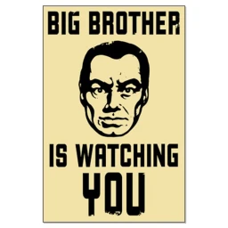 Big Brother Is Watching You icon