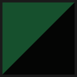 Royal Ιrish Regiment