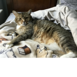 ~SaMmY~