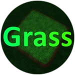 Game Badge Icon