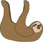 True Sloth