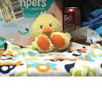 TheDuckFans