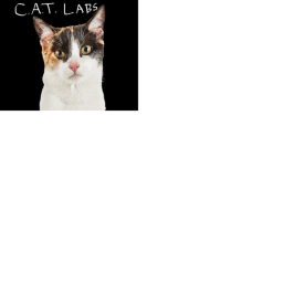 Kitty Cat Club || Science Lab 1.0