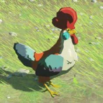 Cucco Club