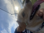 Freddyjr group