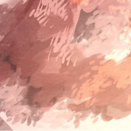 ✧