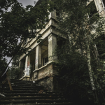 Shadowolf studios