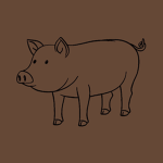 BaconSim Studios