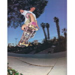 Skaters Of The Future