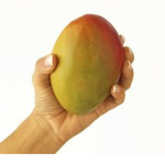 Team Mango