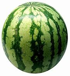 TheGreatMelons