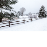 The winter land