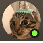 sg vlogs cg vlogs fan club