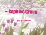 -+Sophies Group+-