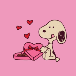 ʚɞ