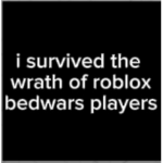 professional bedwars clothing