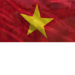The North Vietnamese Army
