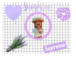 Purple lavender group