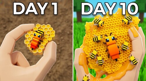 ฟาร์มผึ้ง 🐝