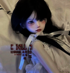 [ DOLL ]