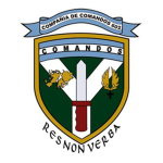 Compañía de Comandos 602
