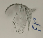 Horse Nation -[HN]-