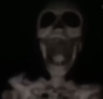 Skeleton are the best