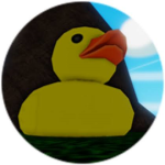 Mr and Mrs Duck