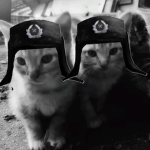 Soviet Ushankas