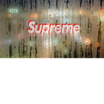 king taylor group of roblox