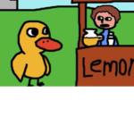 Ducks Are Rad
