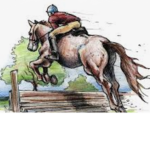 Show Star equestrian group