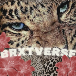 brxtverse