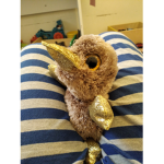 Platypus's ruinieted