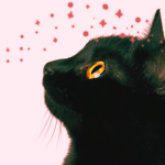 New Meowland