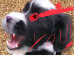 BLAH BLAH BLAH RAWWWWWW MEAT