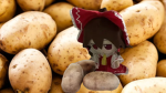 THE Potato Patato group