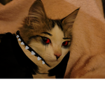 BikerCat