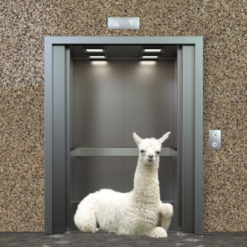 Llama Elevator