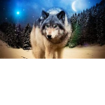 wolf_animals