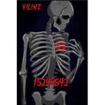 vilinz