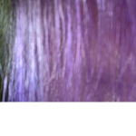 Hdhdhhshehheh