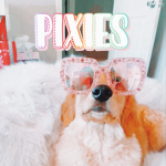 pixies~