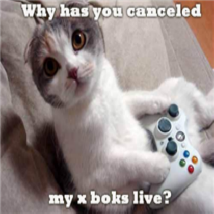 MEME CAT Roblox decal
