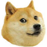 ...KingDoge_SuchYes - Fan Group...
