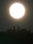 moons puppet